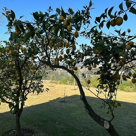 Casa Dos Silencios - Paz E Natureza 122201/al Cortes (Minho)