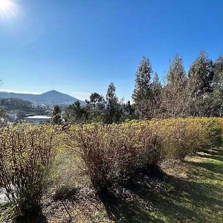 Casa Dos Silencios - Paz E Natureza 122201/al بيت للعطل Cortes (Minho)